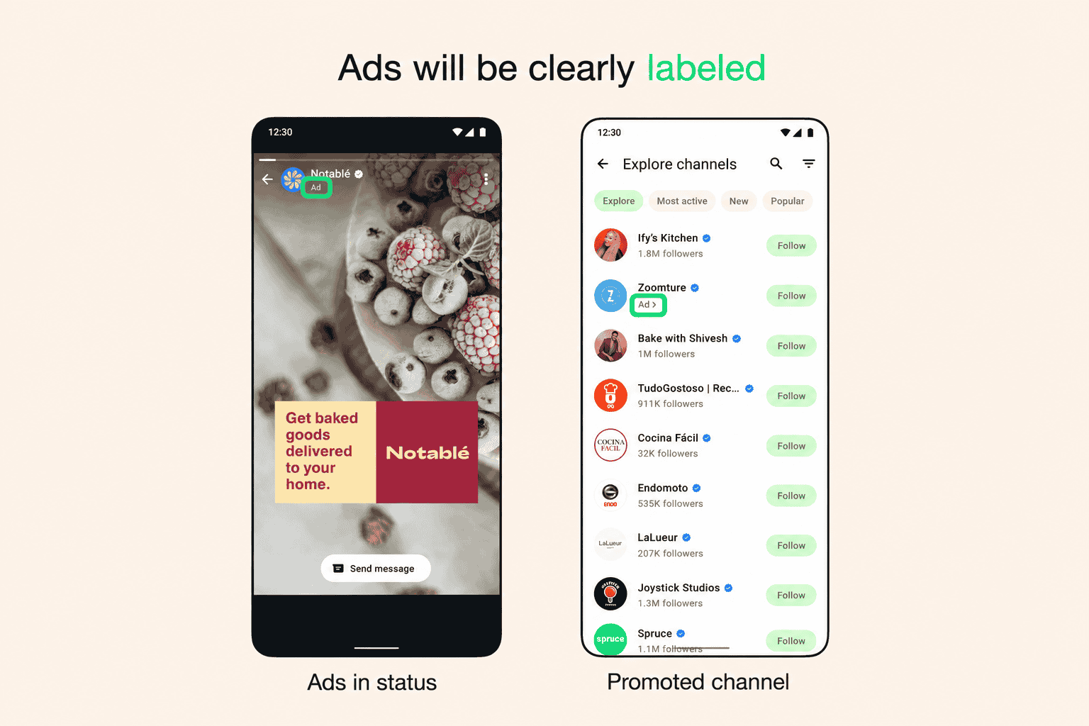 whatsapp status ads preview 